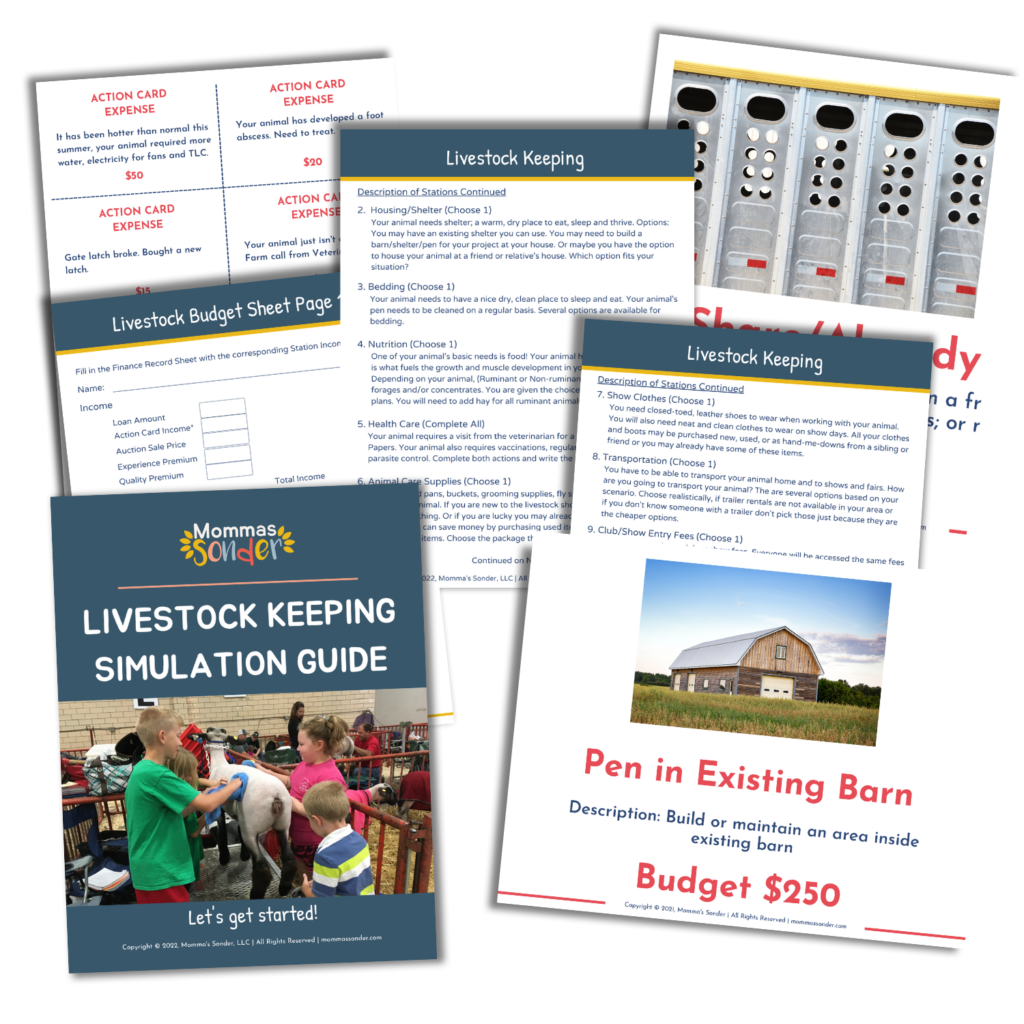 Livestock Budget Guide for kids