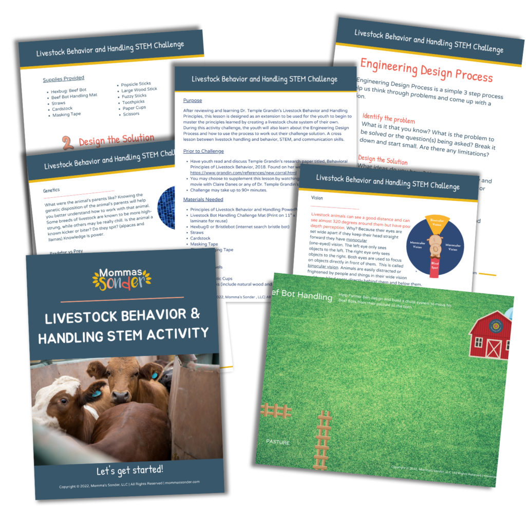 livestock behavior and handling for kids