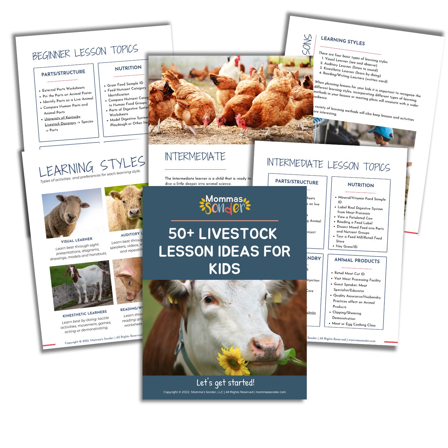 Livestock Lesson Ideas for Kids – Kids Sonder Agriculture Unboxed