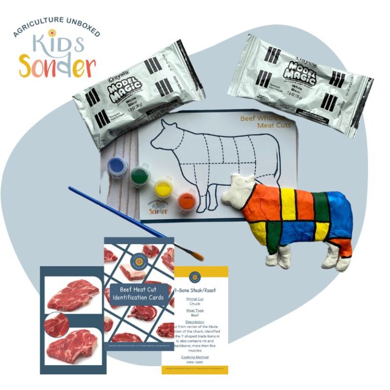 Beefy Bovne Agriculture Education Learning Kit