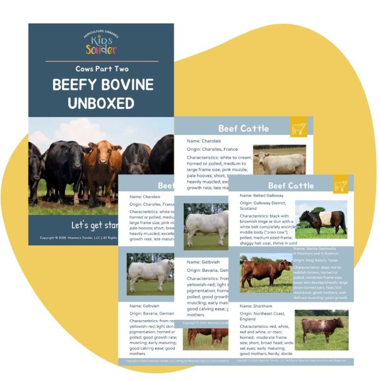 beef cattle education guide and breed identification cards