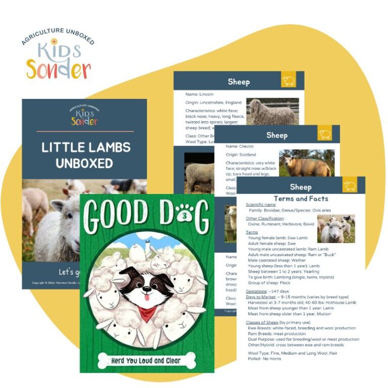 Little Lambs Unboxed Learning Kit Contents