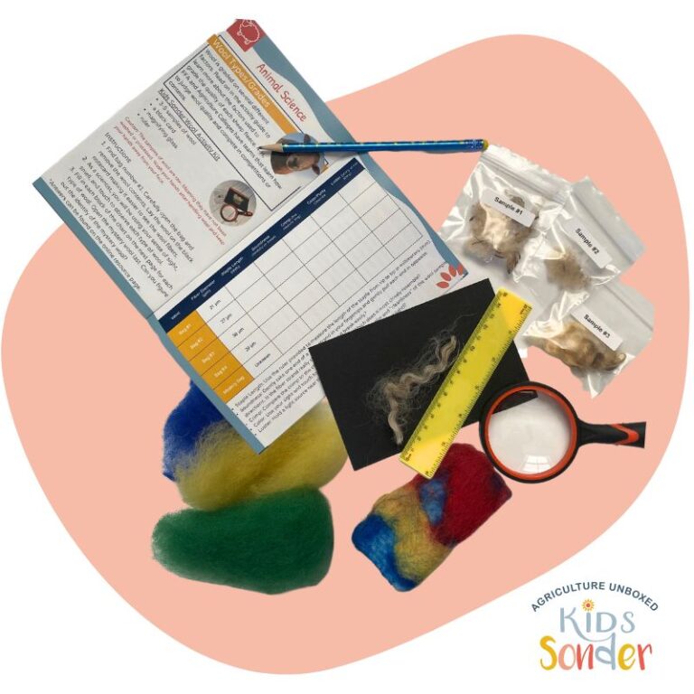 wool science activities