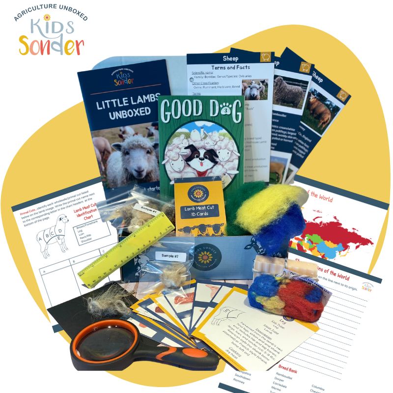 Little Lambs Unboxed Learning Kit