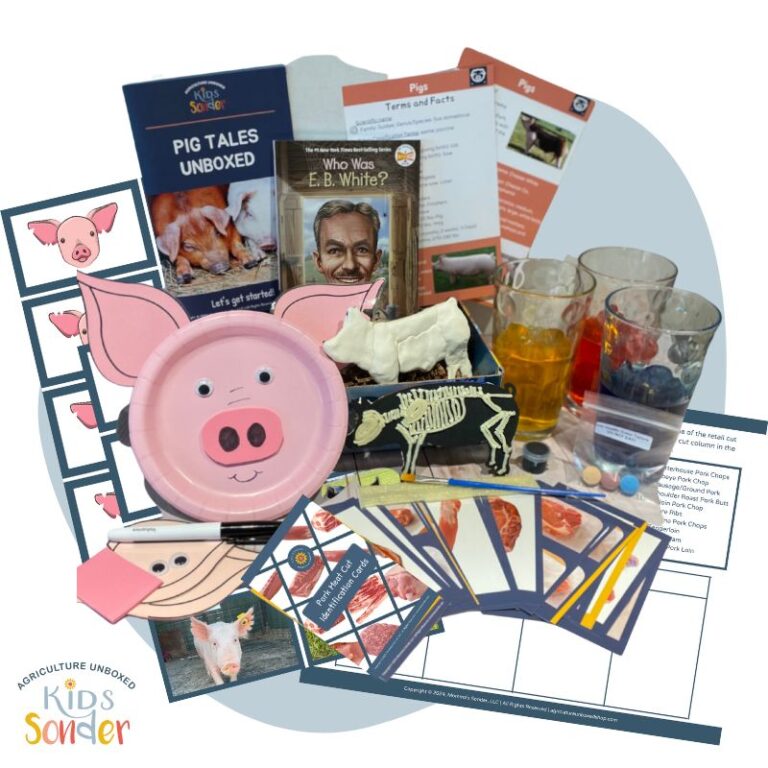 pig tales unboxed learning kit