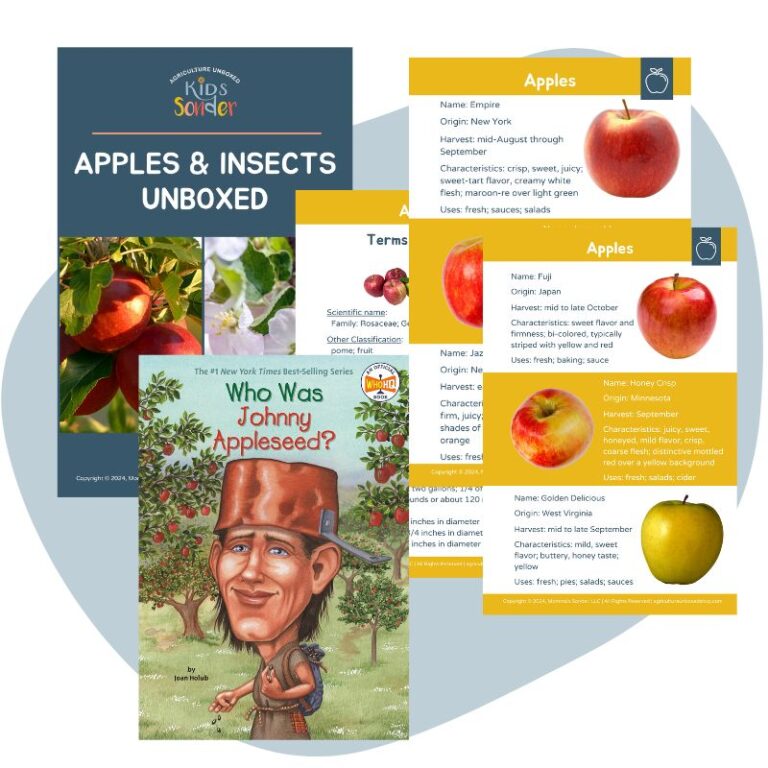 Apple and Insect Learning kit