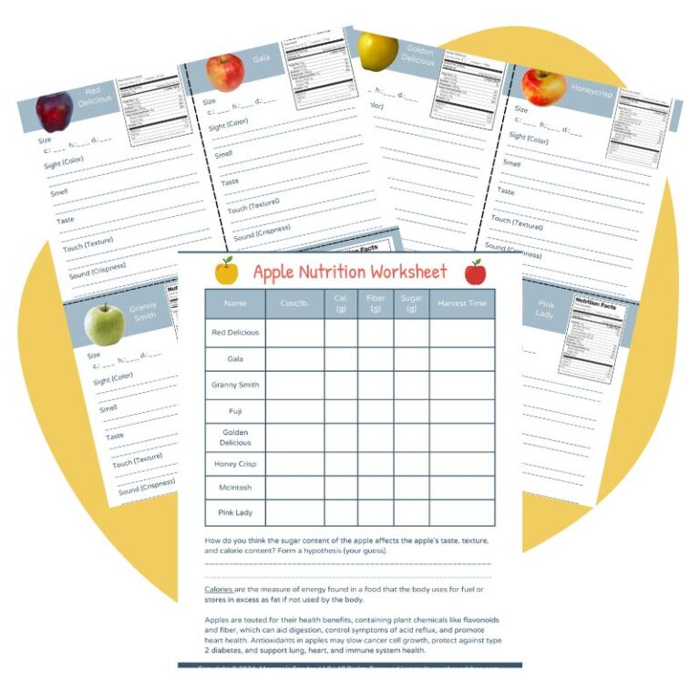 apple Taste Test Activity for Kids