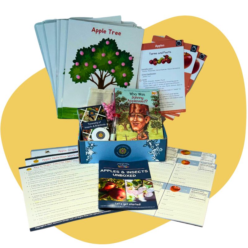 Kids Apples & Insects Learning Kit