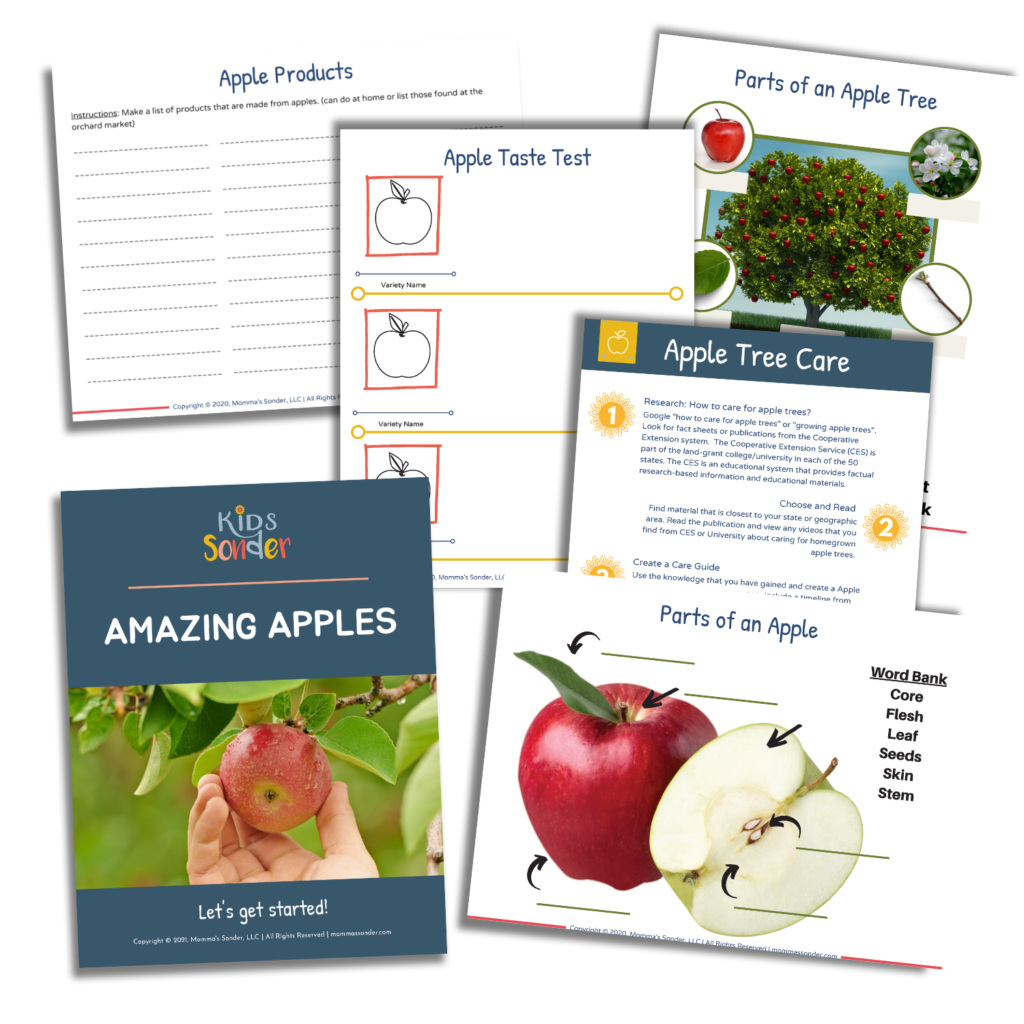 Apples Lesson Guide for Kids