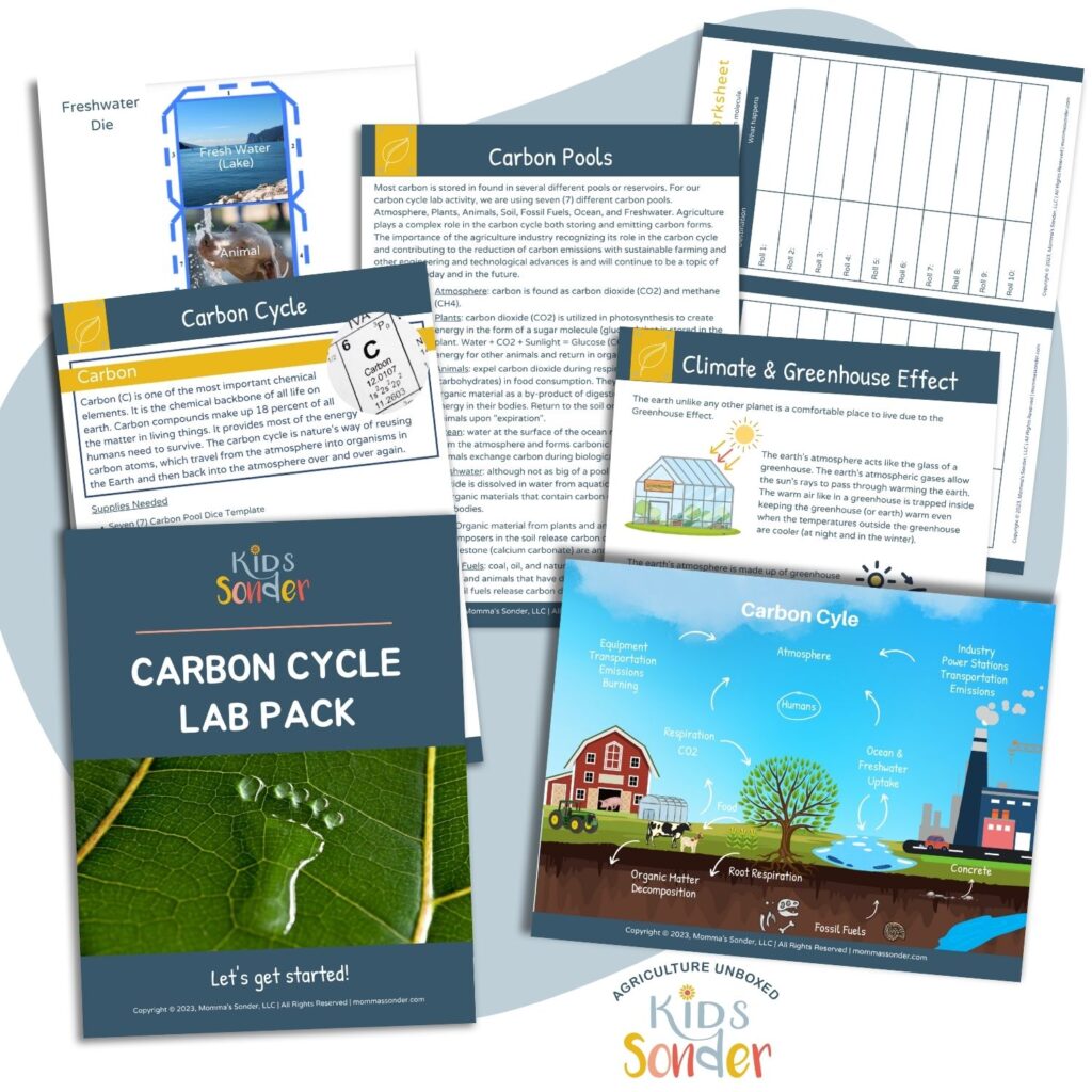 carbon cycle activity pack