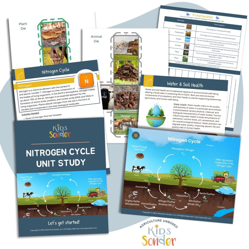 Nitrogen cycle lesson guide