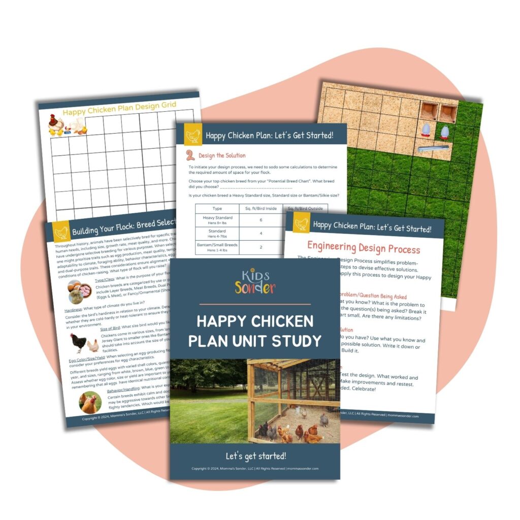 chicken coop lanning activity 