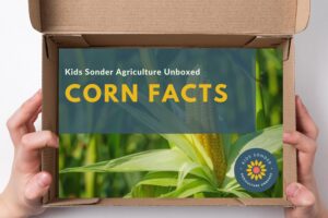 U.S. corn facts