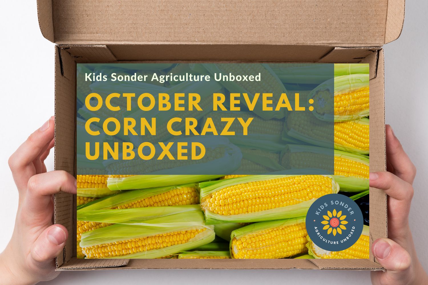 kids corn learning kit