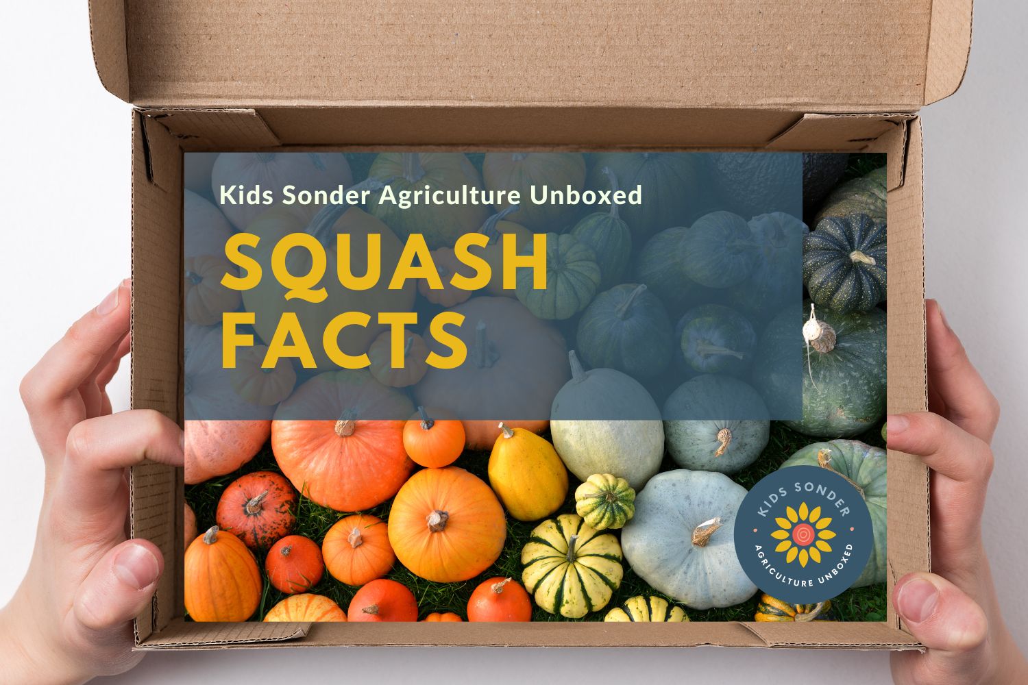 squash facts