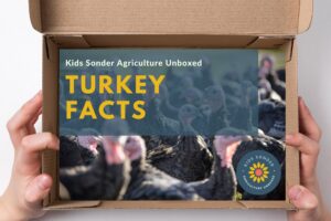 turkey facts