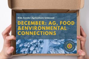 December agriculture food and environmental connections