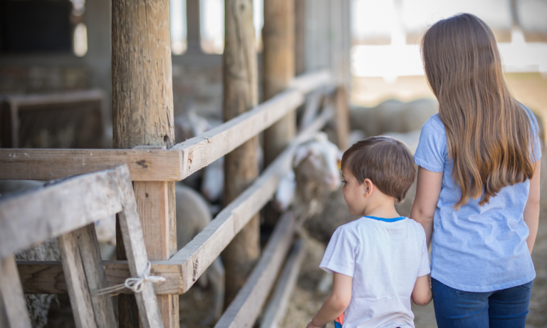 Livestock safety