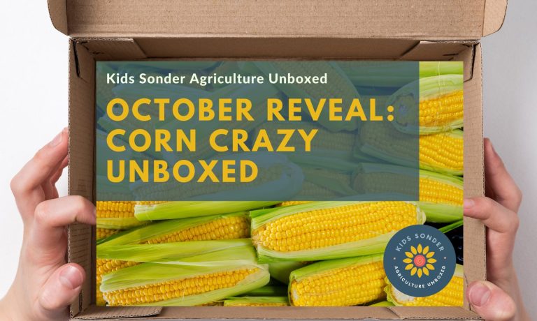 kids corn learning kit