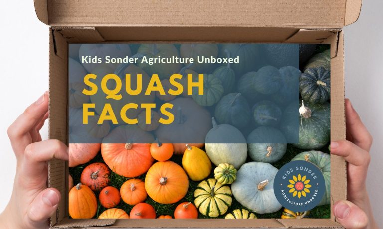 squash facts