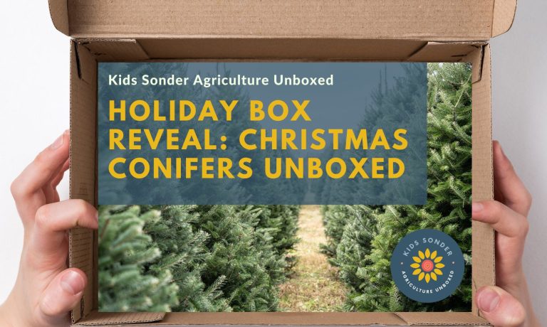 Christmas Conifers Unboxed