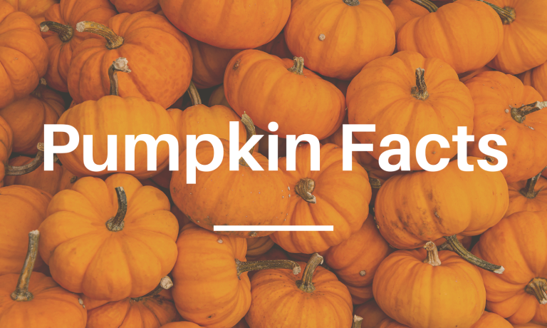 Pumpkin Facts