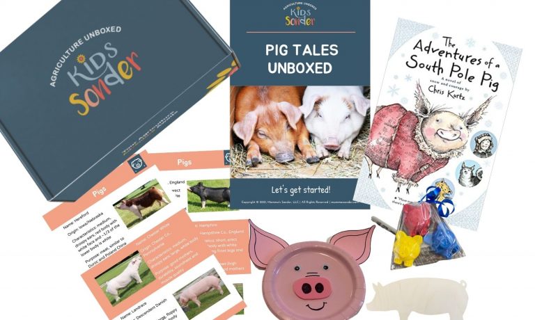 Pig Tales Unboxed