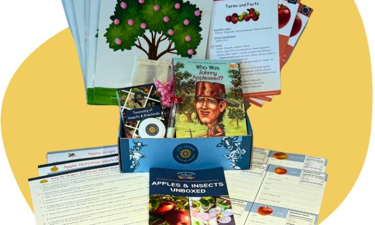 Kids Apples & Insects Learning Kit